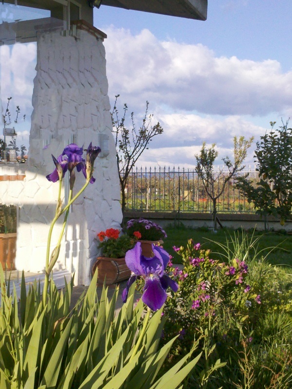 Vista sud Giardino